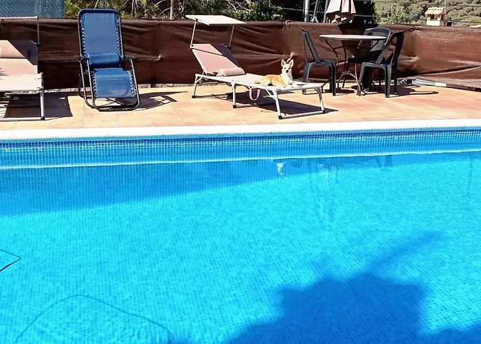 Ideal With Pool In Apartman